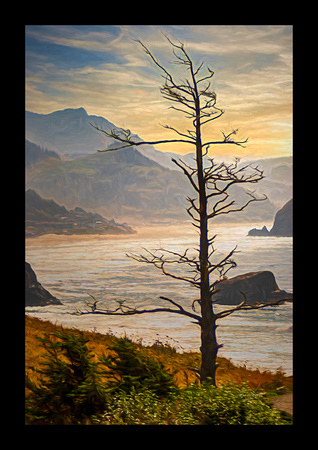 ECOLA STATE PARK#1A-30X20-BORDERED